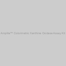 Image of Amplite™ Colorimetric Xanthine Oxidase Assay Kit
